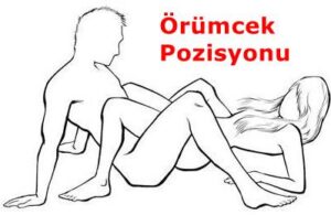 Örümcek sex Pozisyonu